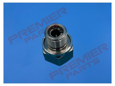SAFETY VALVE ASSEMBLY MARKED P