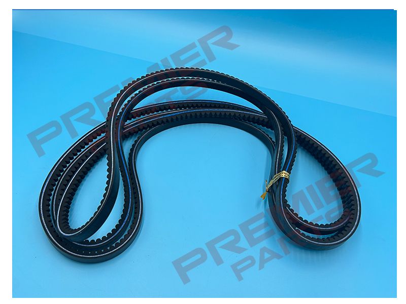 Set of 3 Drive Belts 2204152057