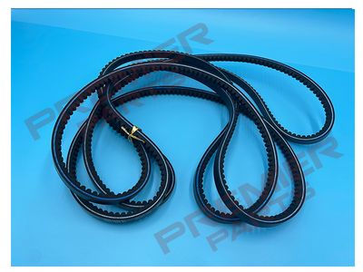Set of 3 Drive Belts 2204152057