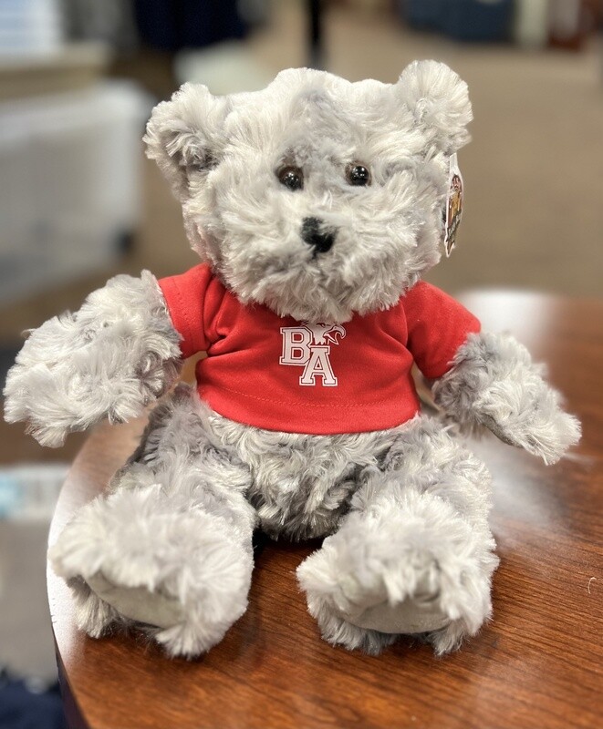 BA Grey Teddy Bear