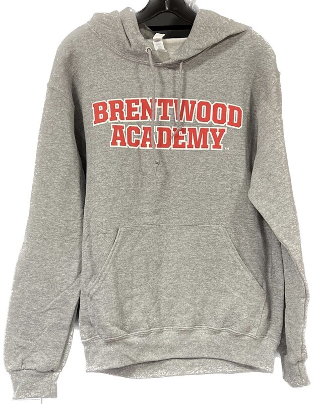 Arch YOUTH Hoodie- Gray with Red Logo