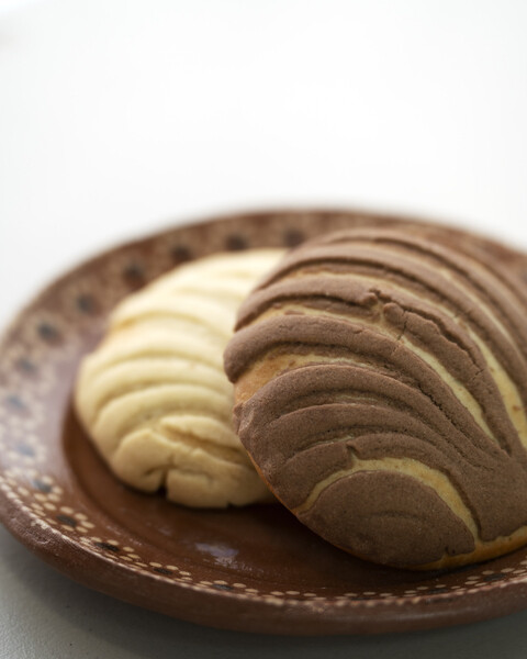 CONCHA DE VAINILLA