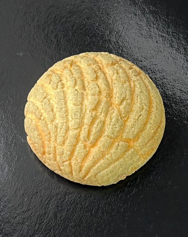 CONCHA DE HOJA SANTA