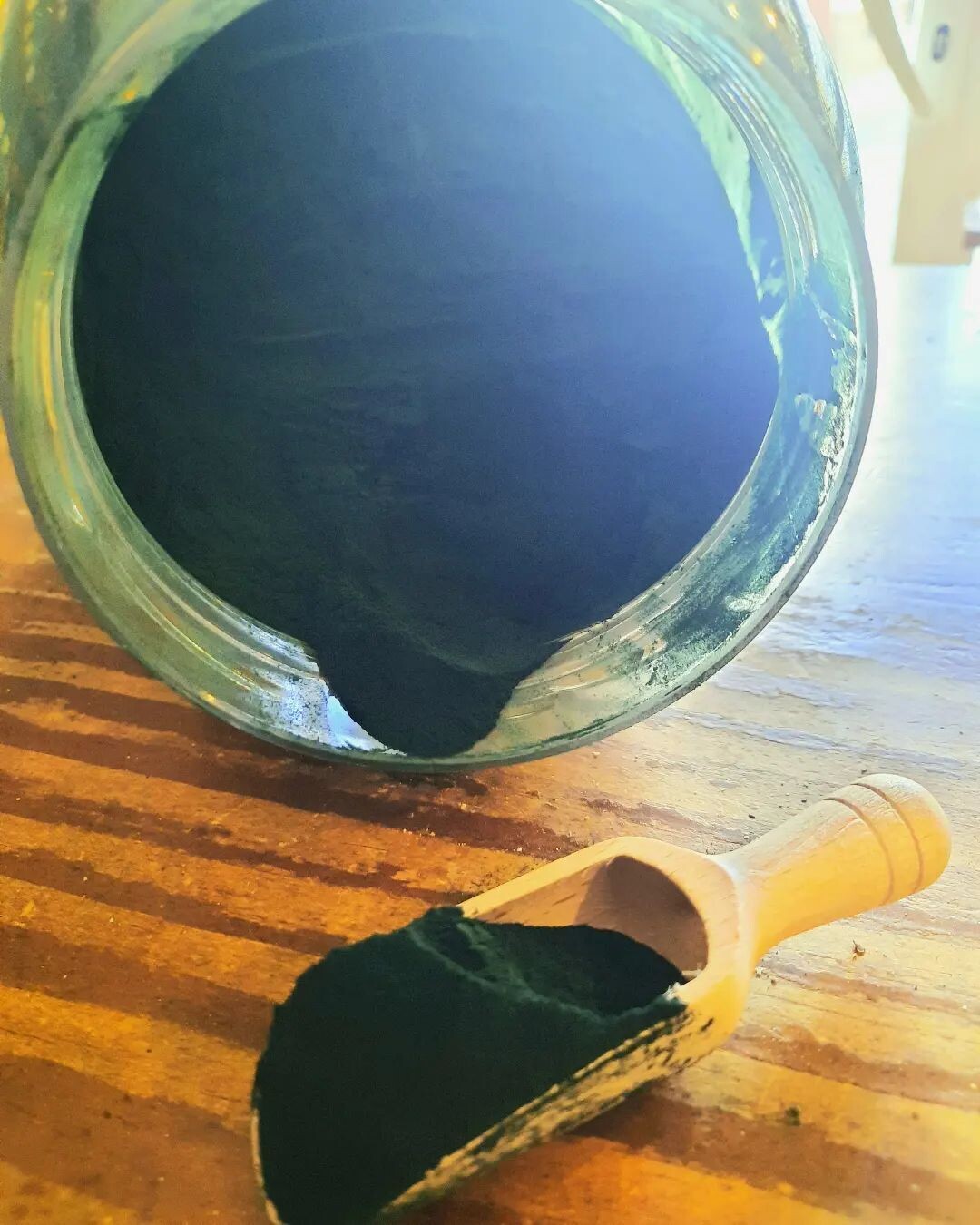 Espirulina en polvo eco
