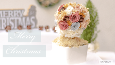 TOPIARY - WINTER TOPIARY - WINTER