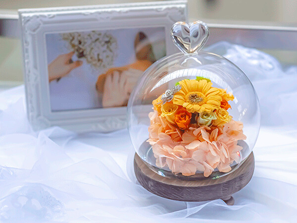 DOME GLASS - GERBERA DOME GLASS - GERBERA
