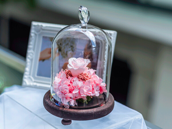 CYLINDER GLASS - ROSE CYLINDER GLASS - ROSE
