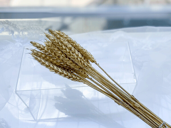 DRIED WHEAT, Colour: Glitter Gold