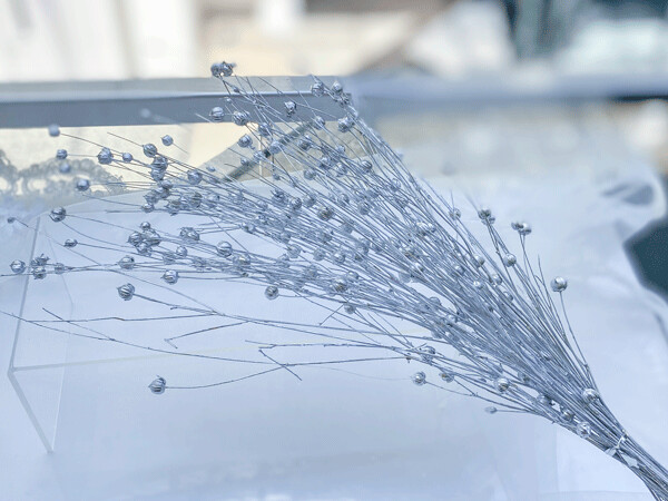 DRIED LINSEED, Colour: Silver