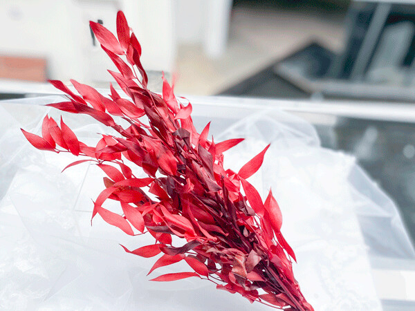 PRESERVED RUCUS, Colour: Red