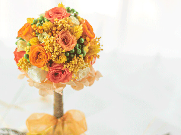 TOPIARY, Theme: Sunset Orange
