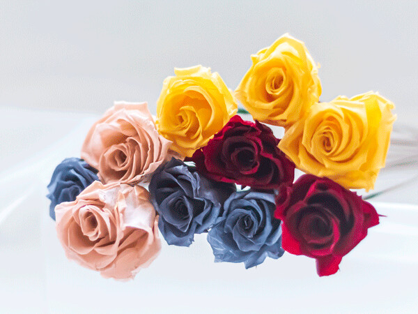 PRESERVED BABY ROSE