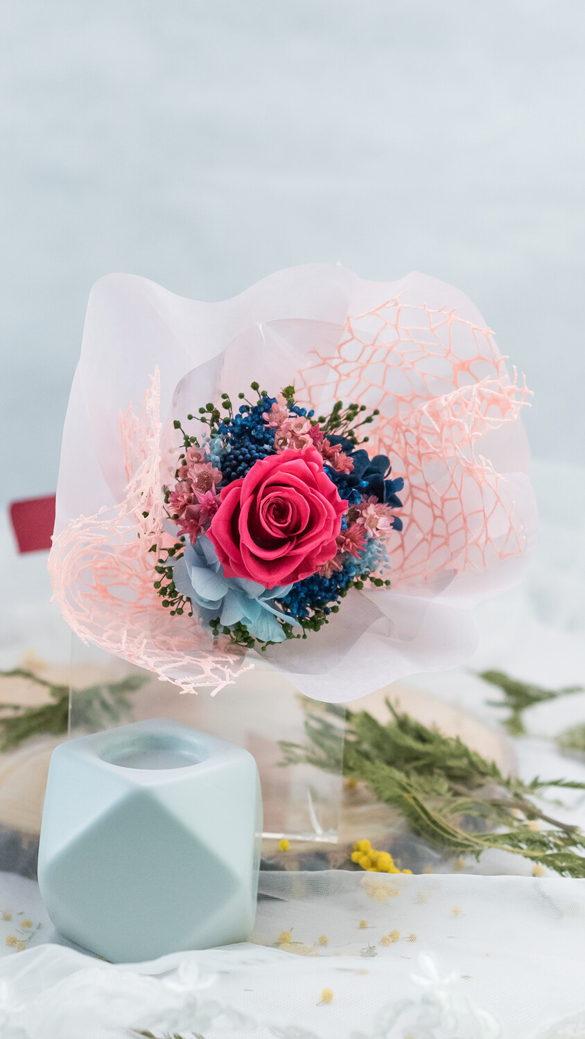 NEW JOURNEY - 1 GRADUATION PLUSH TOY &amp; 1 PETITE SIZED HAND BOUQUET - ROSE, Color of Rose: Hot Pink