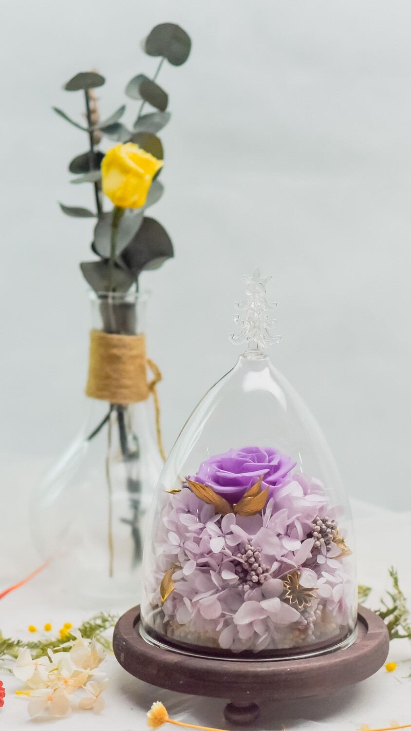 Cone Glass - Pure Purple