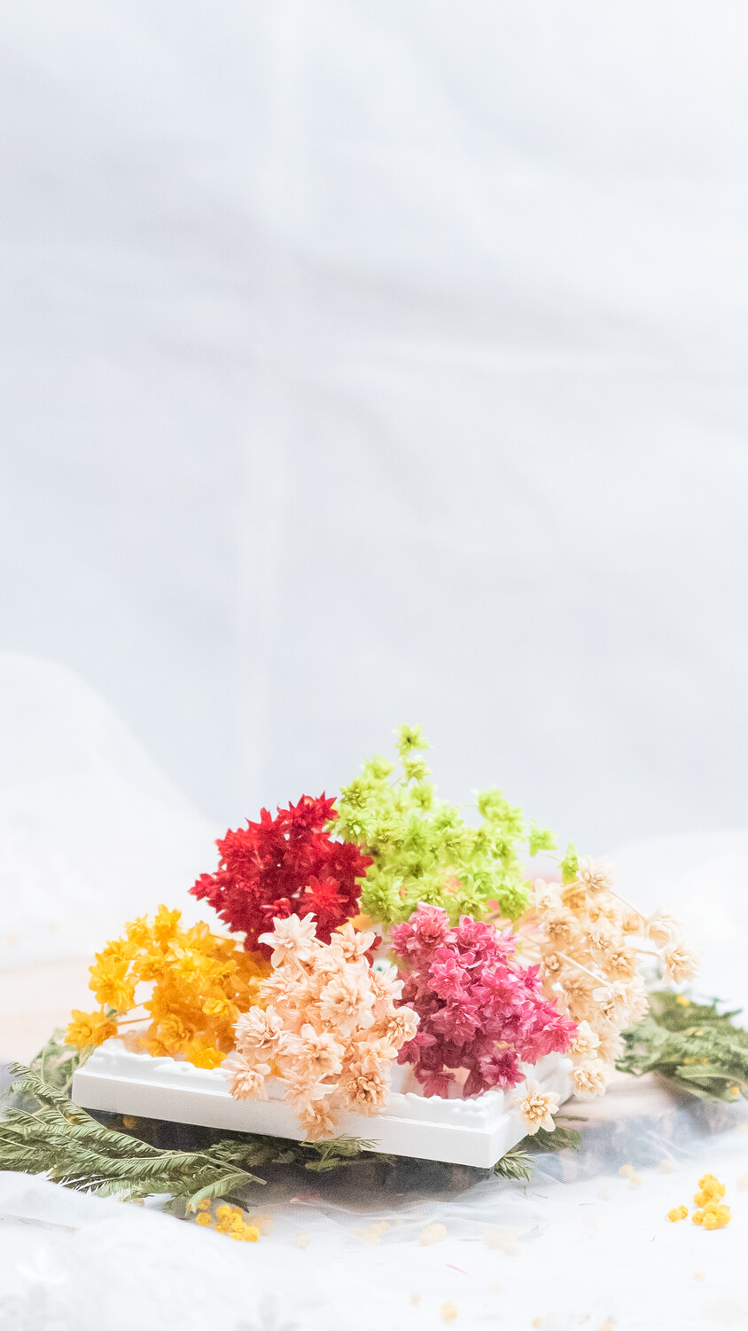 DRIED HILL FLOWERS