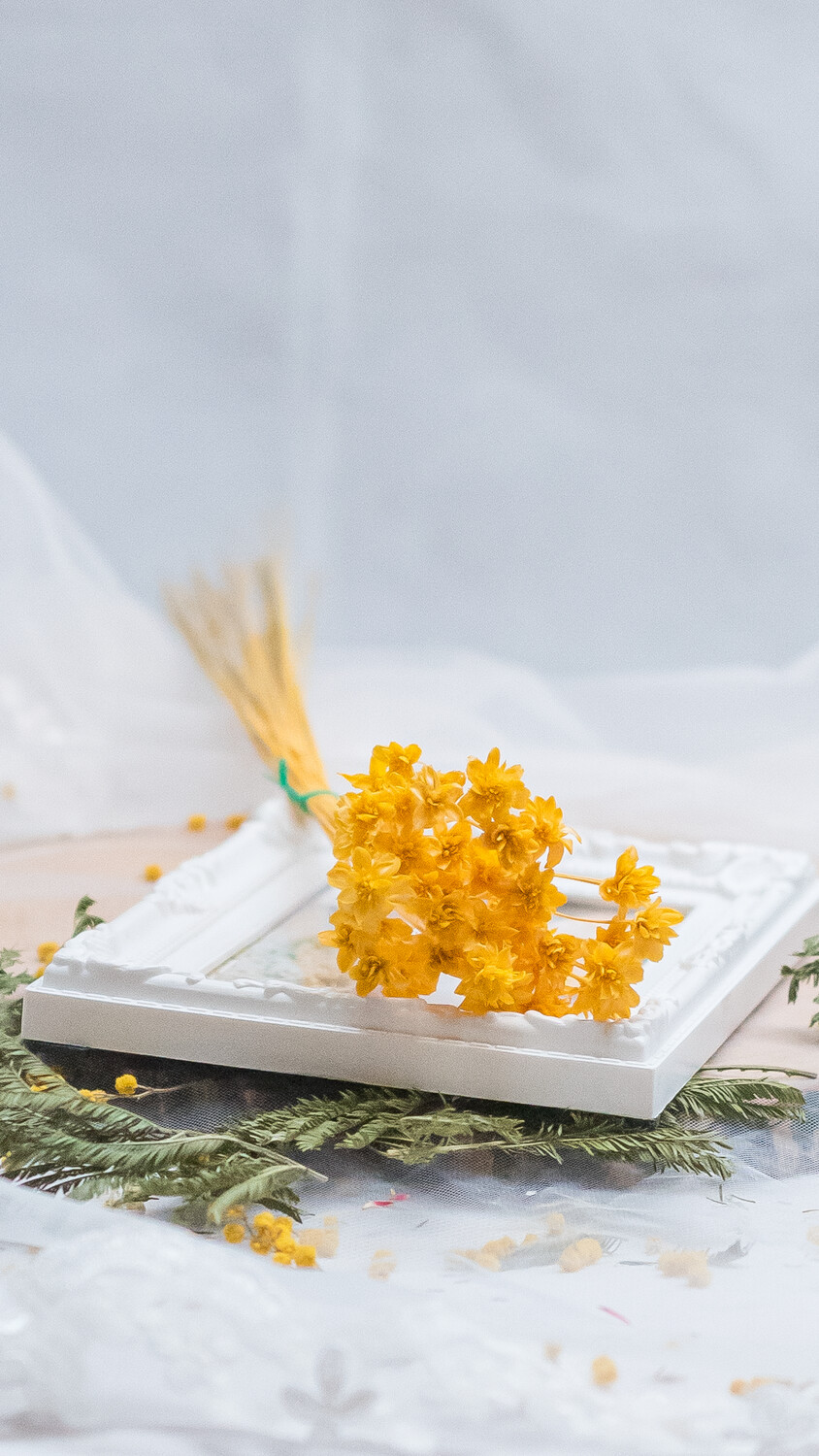 DRIED HILL FLOWERS, Colour: Yellow