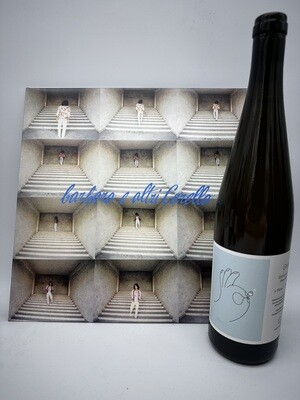Gaia 2022, Campania Fiano IGP (1 bottiglia da 0,75 l)