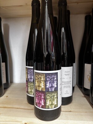 Adam 2021, Campania Greco IGP (1 bottiglia da 0,75 litri)