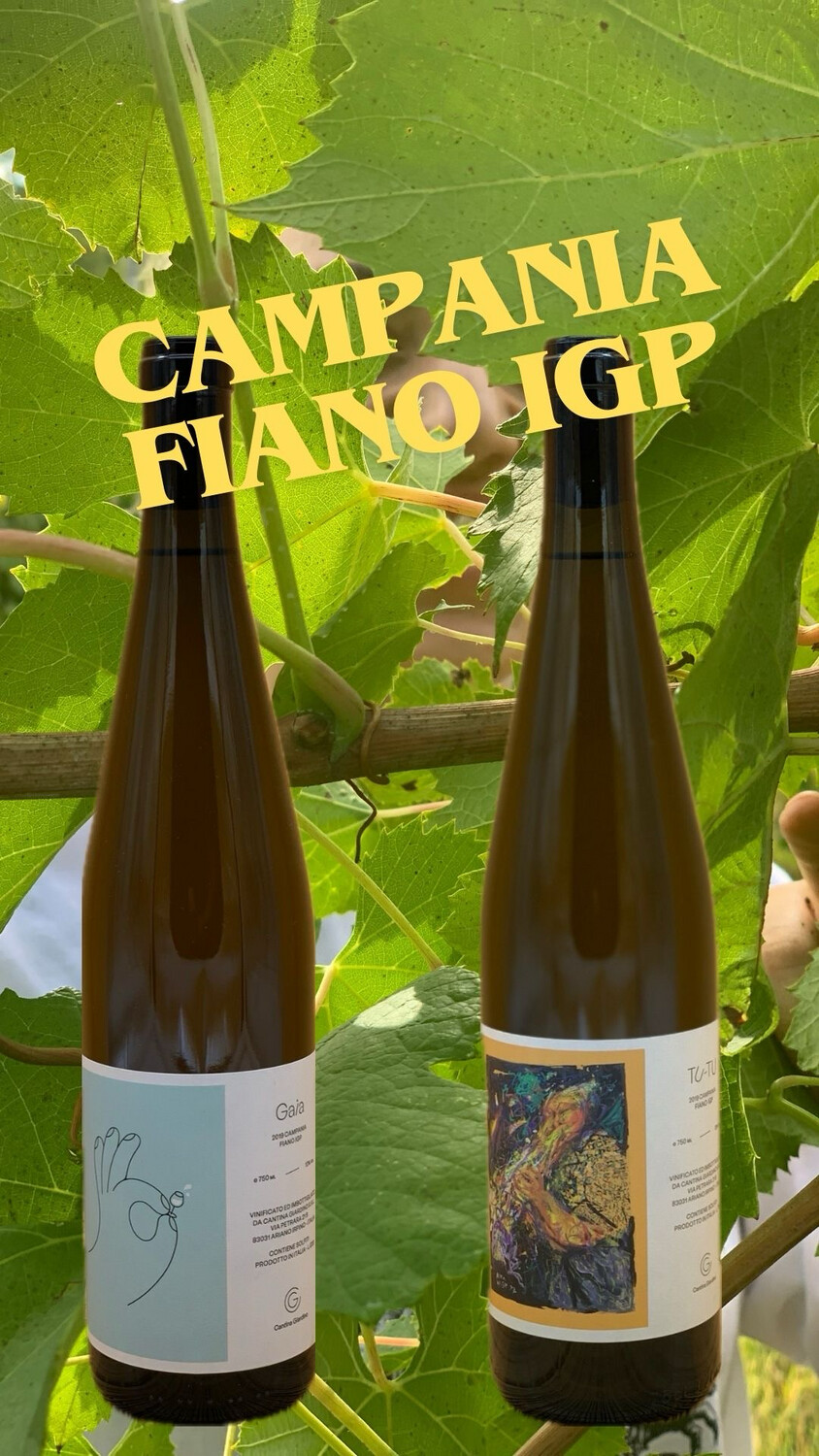 🎁 The Cantina Giardino Surprise Box – 9 bottles of Campania IGP and 1 surprise (0,75*10= 7,5 liters)