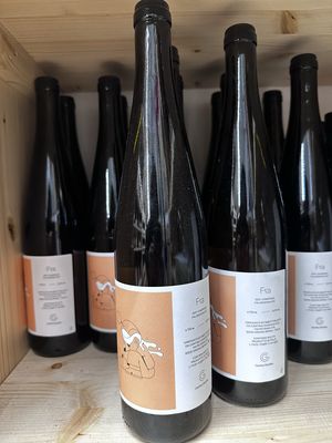 FRA 2021, Campania Falanghina IGP (1 bottiglia da 0,75 litri)