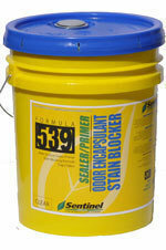 539 Stain & Odor Encapsulant w/ Antimicrobial, Clear, Pl