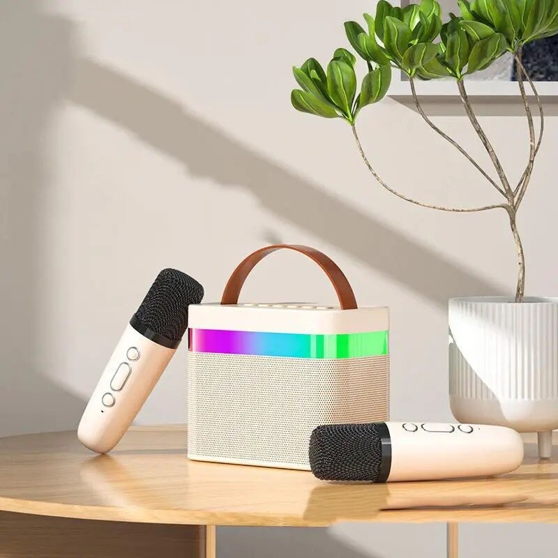 Wireless Microphone Karaoke