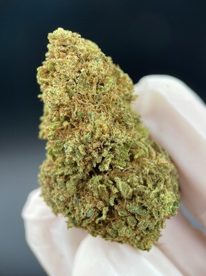 White Widow