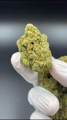 Amnesia Hydro