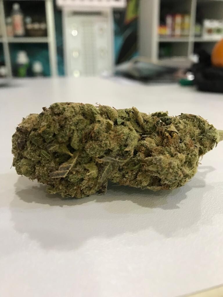 Northern Lights