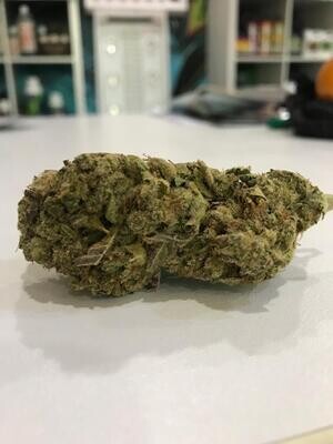Northern Lights