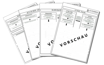 Jus-Starthilfe Rechtfertigungsgründe (digitale Ausgabe)
