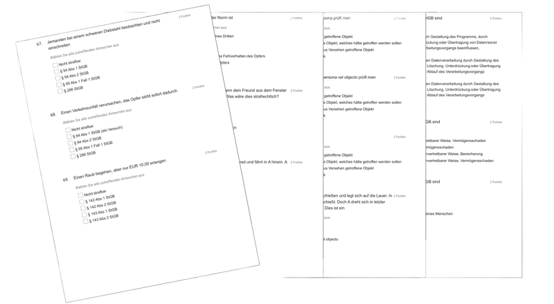 digitales Prüfungsskriptum Strafrecht (800 Prüfungsfragen)