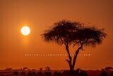 African-Sunrise_BKT6321