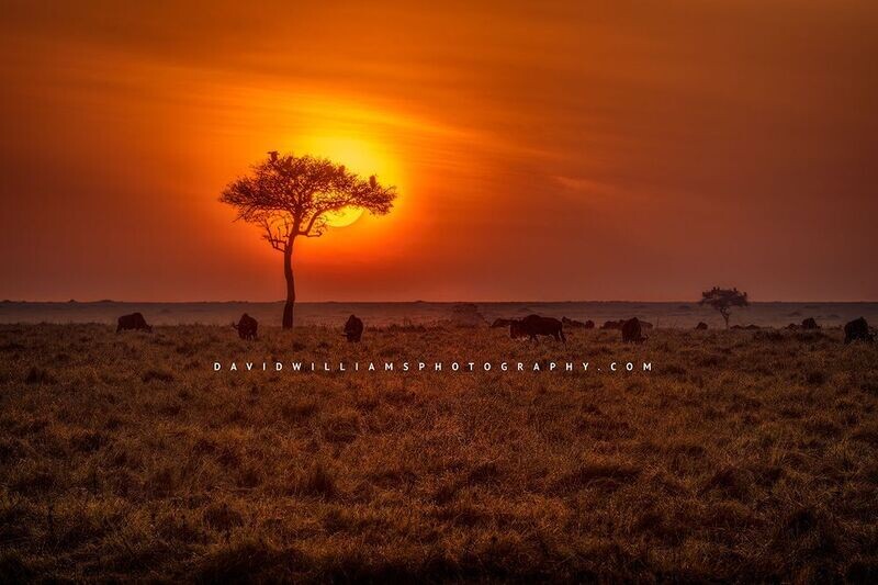 African-Sunset_BKT3530