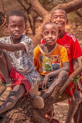Maasai Children NZ92701