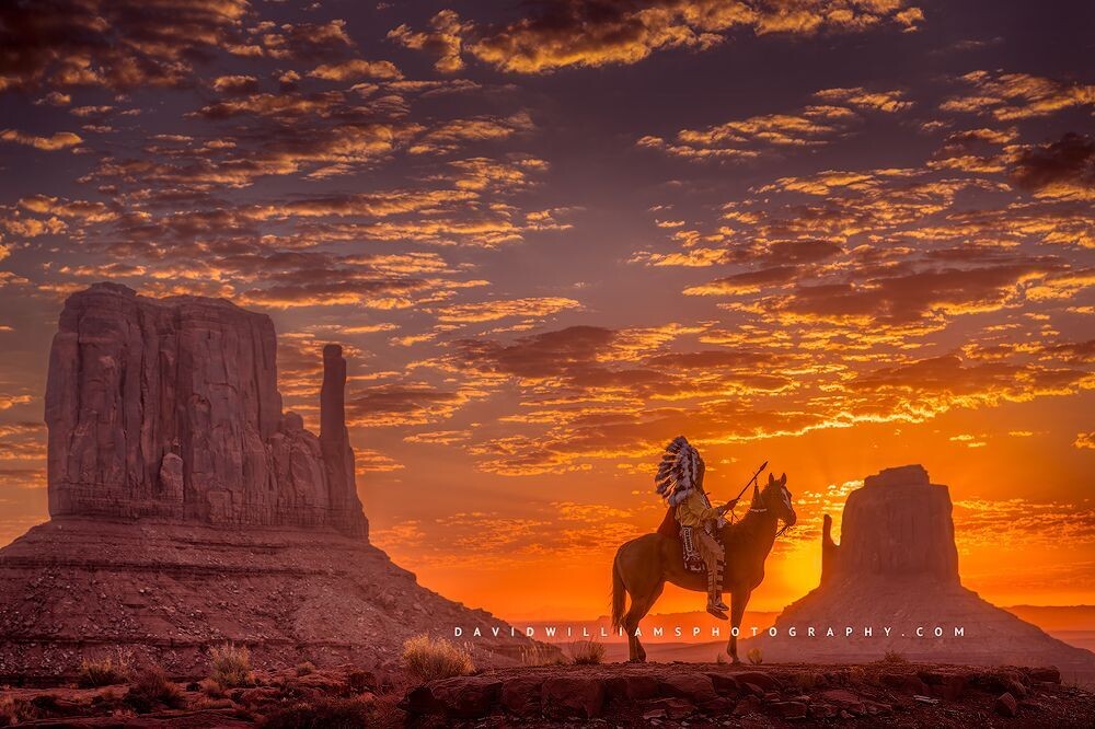 Horseman-5_NZ99324