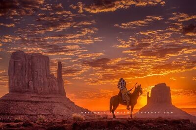 Horseman-5_NZ99324