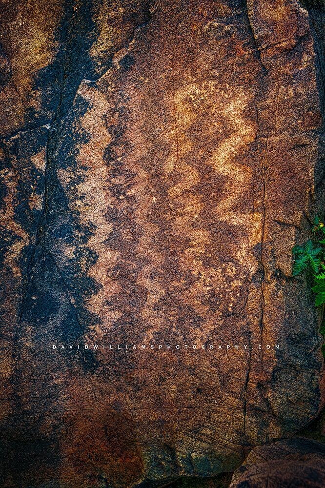 SaguaroPetroglyph4_D855721