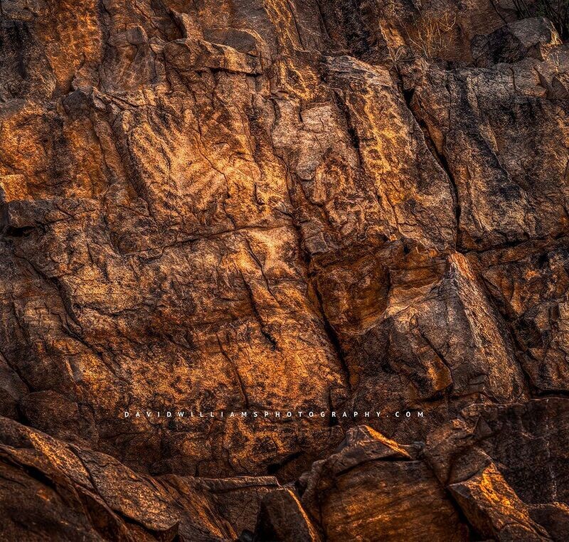 SaguaroPetroglyph2_D855690