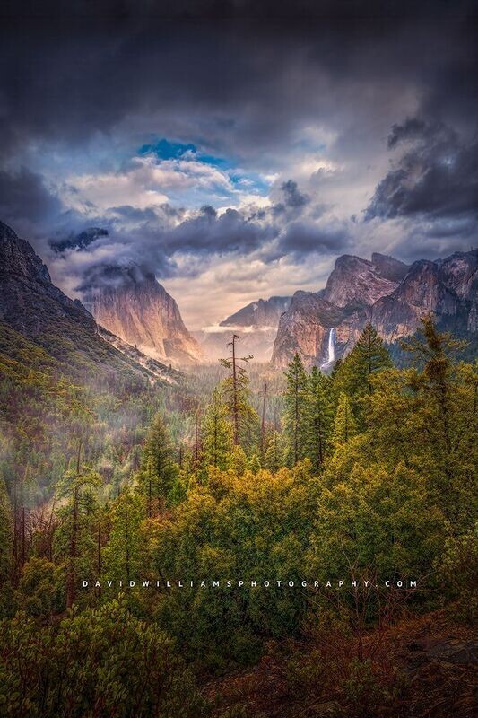 Yosemite-Tunnel_D857358