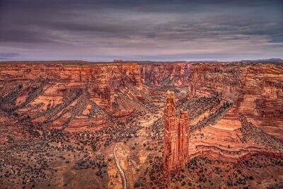 Spider Rock NZ91633