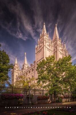 Salt Lake LDS Temple, Utah D852671