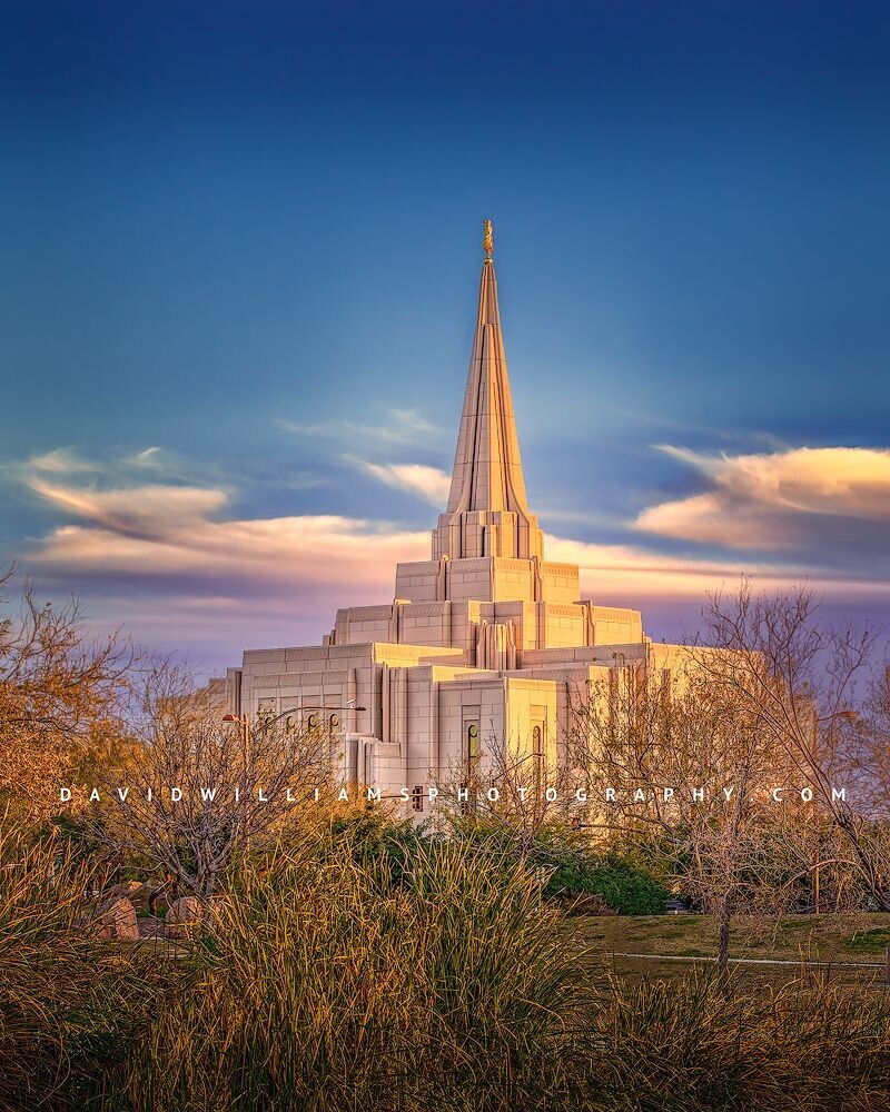 Gilbert LDS Temple, Arizona D851888