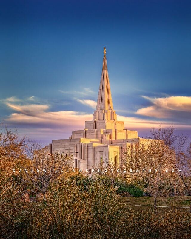 Gilbert LDS Temple, Arizona D851888