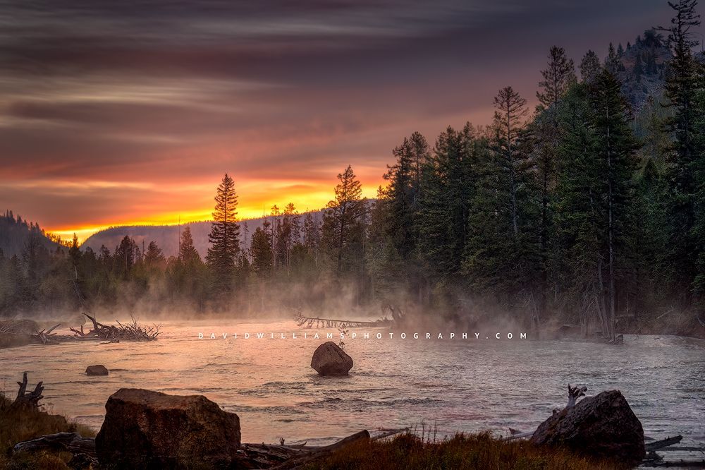 Yellowstone Sunrise 0Z80172