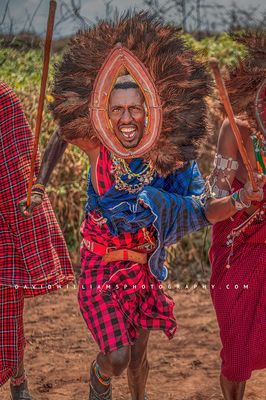 Maasai Warrior 0Z82468