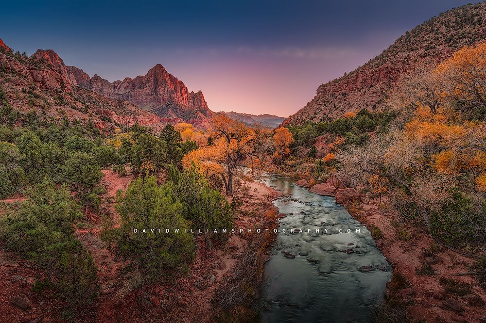 ZionsWatchman_D850965
