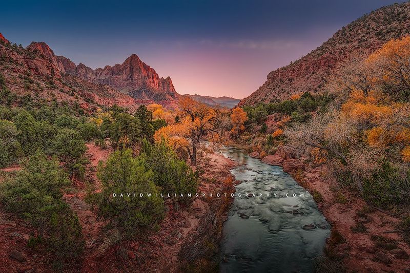 ZionsWatchman_D850965