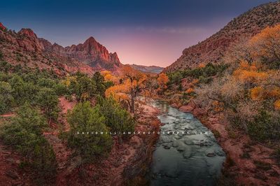 ZionsWatchman_D850965