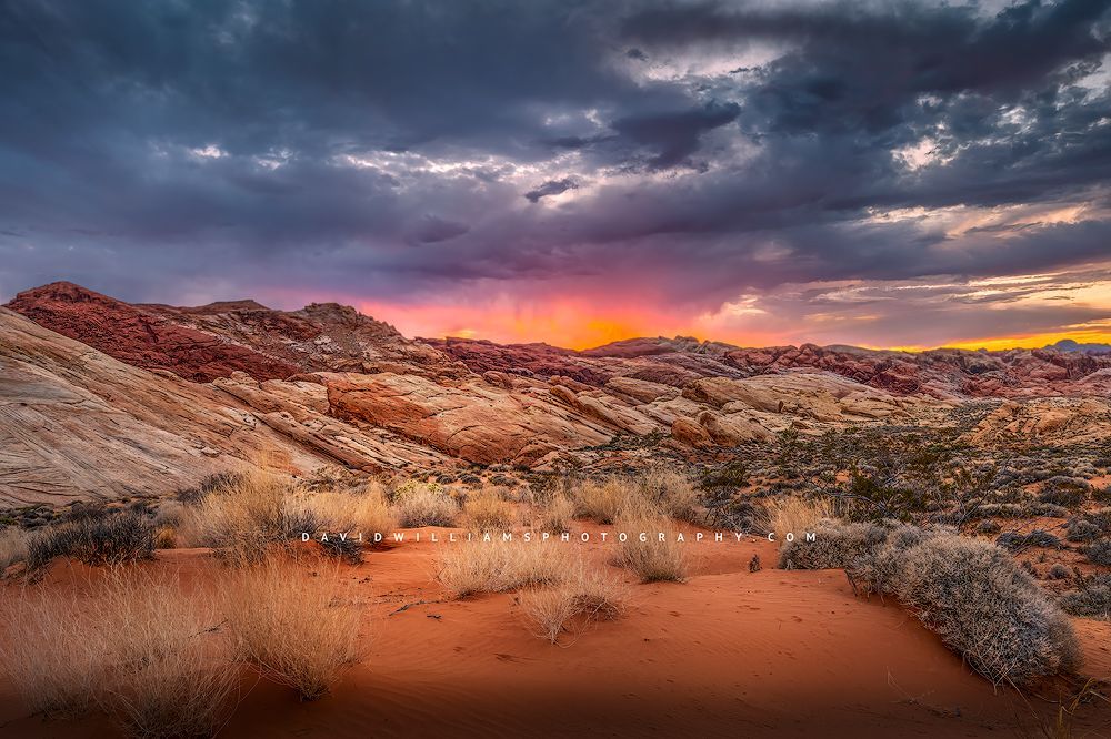 ValleyofFire2_BKT5516
